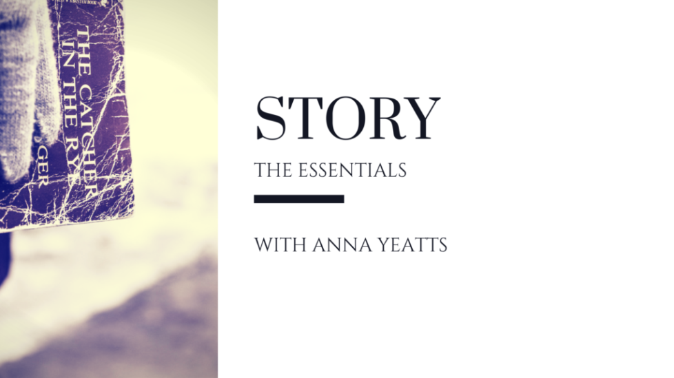 What is Story?